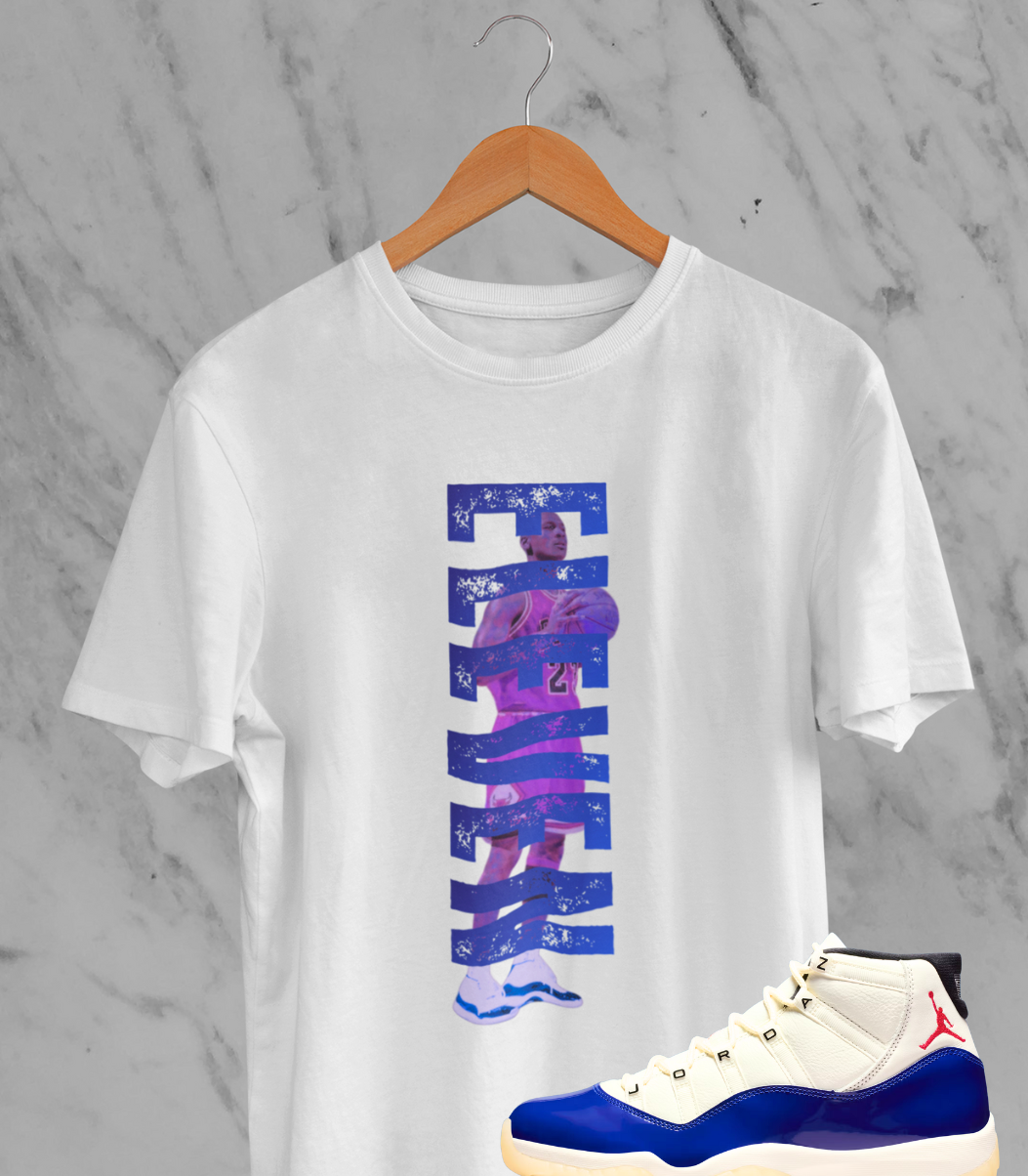 Jordan Elevens Hoodie, Matches Air 11s Rare Air Sneakers, Michael Jordan Fan Art Sweatshirt, Sneaker Match Shirt, Rare Air 11's T-Shirt