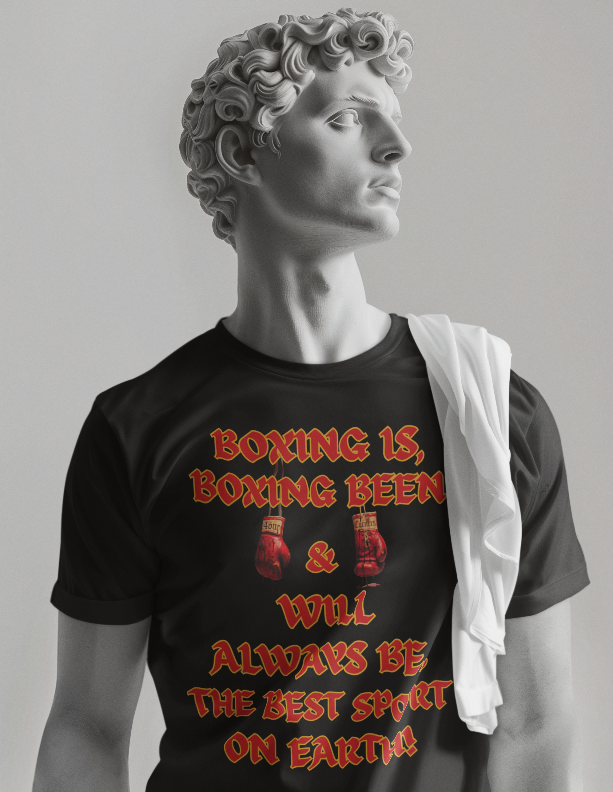 4 Corners Boxing Homage T-Shirt