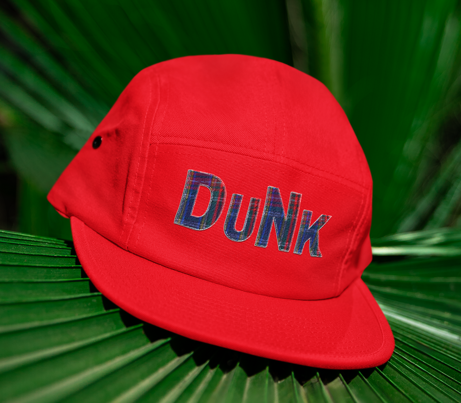 Plaid Graphic Hat, Matches Nardwuar Plaid Dunk Low Sneakers